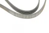 Ремень генератора Peugeot 206/Partner/Citroen Berlingo 1.1-1.6 02-/VW Fox/Polo 1.2 02-14 (6PK1453) 1 987 945 728 BOSCH 1-987-945-728 (фото 5)