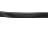 Ремінь генератора VW Caddy IV/V 15-/T7 2.0 TSi 21- (6PK1005) 1 987 945 730 BOSCH 1-987-945-730 (фото 3)