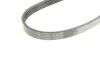 Ремінь генератора VW Golf V/Passat/Touran 1.4TSI 05-/Skoda Fabia 1.4 TSI RS 10-14 (5PK491) 1 987 945 731 BOSCH 1-987-945-731 (фото 4)