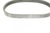 Ремінь генератора VW Golf V/Passat/Touran 1.4TSI 05-/Skoda Fabia 1.4 TSI RS 10-14 (5PK491) 1 987 945 731 BOSCH 1-987-945-731 (фото 5)