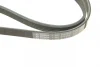 Ремінь генератора Mitsubishi Lancer/Galant 1.3-2.0 92-13/VW Jetta 2.5 06-10/Audi A3/Q3 11- (5PK1060) 1 987 945 903 BOSCH 1-987-945-903 (фото 5)