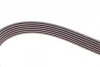 Ремінь генератора MB C-class (W202) 2.0 95-01 (6PK1863) 1 987 945 983 BOSCH 1-987-945-983 (фото 3)