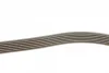 Ремінь генератора BMW M3 (E36) 94-98 (S50)/Kia Sportage 2.0 CRDi 04- (6PK1513) 1 987 945 984 BOSCH 1-987-945-984 (фото 2)