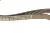 Ремінь генератора BMW M3 (E36) 94-98 (S50)/Kia Sportage 2.0 CRDi 04- (6PK1513) 1 987 945 984 BOSCH 1-987-945-984 (фото 3)