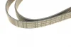 Ремінь генератора BMW M3 (E36) 94-98 (S50)/Kia Sportage 2.0 CRDi 04- (6PK1513) 1 987 945 984 BOSCH 1-987-945-984 (фото 4)
