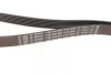 Ремінь генератора поліклиновий VW LT 2.8TDI 96KW/Ford Transit 2.0DI 00- (6PK1640) 1 987 945 985 BOSCH 1-987-945-985 (фото 2)