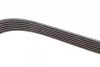 Ремінь генератора поліклиновий VW LT 2.8TDI 96KW/Ford Transit 2.0DI 00- (6PK1640) 1 987 945 985 BOSCH 1-987-945-985 (фото 3)