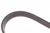 Ремінь генератора Opel Vectra 2.0/2.2 DTI 96-/ Nissan X-Trail/ Renault Koleos 2.5 07- (6PK1805) 1 987 945 986 BOSCH 1-987-945-986 (фото 3)