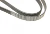 Ремінь генератора VW LT 2.8TDI (-AC) (6PK1635) 1 987 946 019 BOSCH 1-987-946-019 (фото 5)