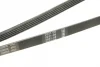 Ремінь генератора VW Passat 1.9TDI 96-00/Audi A4/A6 1.9TDI 95-01 (5PK1592) 1 987 946 022 BOSCH 1-987-946-022 (фото 4)