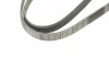 Ремінь генератора VW Passat 1.9TDI 96-00/Audi A4/A6 1.9TDI 95-01 (5PK1592) 1 987 946 022 BOSCH 1-987-946-022 (фото 5)