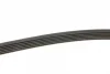 Ремінь генератора Renault Trafic 1.9dCi 01- (-AC) (6PK1830) 1 987 946 031 BOSCH 1-987-946-031 (фото 3)