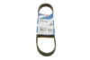 Ремінь генератора поліклиновий Citroen Jumper/Fiat Ducato/Peugeot Boxer 2.0 94- (6PK698) 1 987 946 034 BOSCH 1-987-946-034 (фото 1)