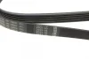 Ремінь генератора MB W202/210 M111/Ford Transit 2.301-06 (6PK1775) 1 987 946 035 BOSCH 1-987-946-035 (фото 4)