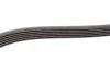 Ремінь генератора MB W202/203/VW/Audi 2.4/2.8i (6PK1760) 1 987 946 037 BOSCH 1-987-946-037 (фото 3)