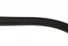 Ремінь генератора VW LT 2.8TDI 116KW (+AC) (6PK2155) 1 987 946 041 BOSCH 1-987-946-041 (фото 4)