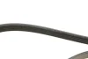 Ремінь генератора Renault Kangoo 1.4/1.6i 97- (5PK1750) 1 987 946 045 BOSCH 1-987-946-045 (фото 3)