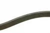 Ремінь генератора поліклиновий Nissan Almera 2.0 00-03/ Primera 2.0 16V 96-01 (6PK1030) 1 987 946 051 BOSCH 1-987-946-051 (фото 3)