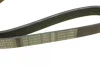 Ремінь генератора поліклиновий Nissan Almera 2.0 00-03/ Primera 2.0 16V 96-01 (6PK1030) 1 987 946 051 BOSCH 1-987-946-051 (фото 4)