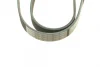Ремінь генератора поліклиновий Citroen Berlingo 1.9D 98- (6PK1390) 1 987 946 052 BOSCH 1-987-946-052 (фото 3)