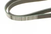 Ремінь генератора поліклиновий Citroen Berlingo 1.9D 98- (6PK1390) 1 987 946 052 BOSCH 1-987-946-052 (фото 4)