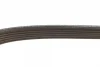 Ремінь поліклиновий генератора Renault Kangoo 1.9D 98- (6PK1400) 1 987 946 059 BOSCH 1-987-946-059 (фото 4)