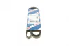 Ремінь генератора Audi A4/A6/A8 2.4/2.6/2.8 95- (6PK1880) 1 987 946 064 BOSCH 1-987-946-064 (фото 1)