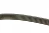 Ремінь генератора Audi A4/A6/A8 2.4/2.6/2.8 95- (6PK1880) 1 987 946 064 BOSCH 1-987-946-064 (фото 2)