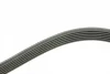 Ремінь генератора MB E-class (W124/W211)/ M-class (W164) (6PK2355) 1 987 946 074 BOSCH 1-987-946-074 (фото 3)