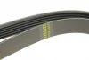Ремінь генератора MB E-class (W124/W211)/ M-class (W164) (6PK2355) 1 987 946 074 BOSCH 1-987-946-074 (фото 4)