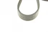 Ремінь генератора MB E-class (W124/W211)/ M-class (W164) (6PK2355) 1 987 946 074 BOSCH 1-987-946-074 (фото 5)