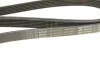 Ремінь генератора Mitsubishi Lancer VIII 1.8/2.0 08- (6PK2625) 1 987 946 075 BOSCH 1-987-946-075 (фото 5)