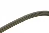 Ремінь генератора Opel Frontera B 2.2 98-04 (6PK1850) 1 987 946 080 BOSCH 1-987-946-080 (фото 3)
