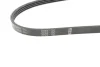 Ремінь генератора Mitsubishi Pajero 2.5 TD 90-/ L 200 2.5 96-07 (4PK1125) 1 987 946 081 BOSCH 1-987-946-081 (фото 2)