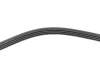Ремінь генератора Mitsubishi Pajero 2.5 TD 90-/ L 200 2.5 96-07 (4PK1125) 1 987 946 081 BOSCH 1-987-946-081 (фото 4)