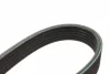 Ремінь генератора поліклиновий VW Golf/BMW/Ford/Opel (6PK1540) 1 987 946 099 BOSCH 1-987-946-099 (фото 4)
