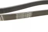 Ремінь генератора VW T5/Golf 2.3-3.2 V6 03-09/Audi A4/A6/Q5 2.0TDI 08-17 (6PK1264) 1 987 946 102 BOSCH 1-987-946-102 (фото 2)