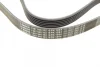 Ремінь генератора VW T5/Golf 2.3-3.2 V6 03-09/Audi A4/A6/Q5 2.0TDI 08-17 (6PK1264) 1 987 946 102 BOSCH 1-987-946-102 (фото 3)