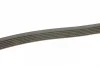 Ремінь генератора MB W202/211 2.2/2.7CDI (6PK2238) 1 987 946 104 BOSCH 1-987-946-104 (фото 3)