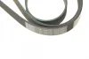 Ремінь генератора MB W202/211 2.2/2.7CDI (6PK2238) 1 987 946 104 BOSCH 1-987-946-104 (фото 4)