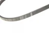 Ремінь генератора Fiat Doblo/Fiorino/Linea/Qubo 1.3JTD 04- (4PK1022) 1 987 946 124 BOSCH 1-987-946-124 (фото 5)