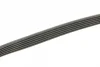 Ремінь генератора Ford Transit 2.0Di/TDCi 00- (-AC) (6PK831) 1 987 946 126 BOSCH 1-987-946-126 (фото 3)