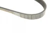 Ремінь генератора Ford Transit 2.0Di/TDCi 00- (-AC) (6PK831) 1 987 946 126 BOSCH 1-987-946-126 (фото 5)