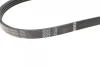 Ремень генератора BMW 3 (E46)/X3 (E83) 01-07/Fiat Stilo 1.6 16V 01-08 (4PK917) (M47) 1 987 946 127 BOSCH 1-987-946-127 (фото 3)