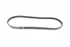 Ремень генератора BMW 3 (E46)/X3 (E83) 01-07/Fiat Stilo 1.6 16V 01-08 (4PK917) (M47) 1 987 946 127 BOSCH 1-987-946-127 (фото 5)