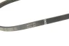 Ремінь генератора Renault Kangoo/Logan 1.4/1.6 04-/Lada Largus 1.6 12- (4PK916) 1 987 946 129 BOSCH 1-987-946-129 (фото 4)