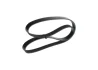 Ремінь генератора Ford Focus II/C-Max/Volvo C30/S40 II/V50 1.8/2.0 04-12 (6PK1249) 1 987 946 173 BOSCH 1-987-946-173 (фото 3)