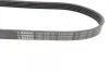 Ремінь генератора Ford Focus 1.4/1.6i 03- (6PK1059+5PK868) К-кт 1 987 946 196 BOSCH 1-987-946-196 (фото 3)