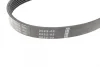 Ремінь генератора Ford Focus 1.4/1.6i 03- (6PK1059+5PK868) К-кт 1 987 946 196 BOSCH 1-987-946-196 (фото 8)