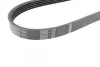 Ремінь генератора Ford Fiesta/Focus 1.4LPG/1.6Ti 08- (6PK1019) 1 987 946 197 BOSCH 1-987-946-197 (фото 3)